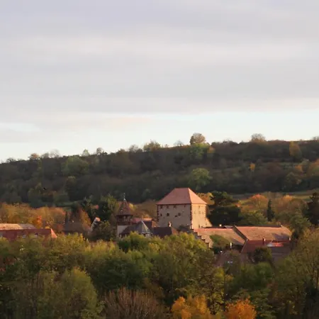 דירה Im Schoenen Zellertal, Mit 22 Kw Wallbox Wachenheim an der Weinstraße