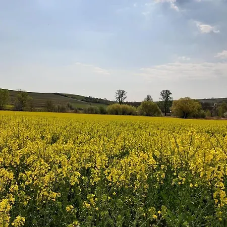 公寓 Im Schoenen Zellertal, Mit 22 Kw Wallbox
