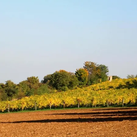 דירה Im Schoenen Zellertal, Mit 22 Kw Wallbox *