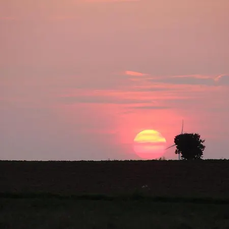 דירה Im Schoenen Zellertal, Mit 22 Kw Wallbox *