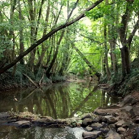 דירה Im Schoenen Zellertal, Mit 22 Kw Wallbox *