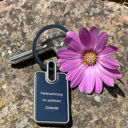 Im Schoenen Zellertal, Mit 22 Kw Wallbox דירה