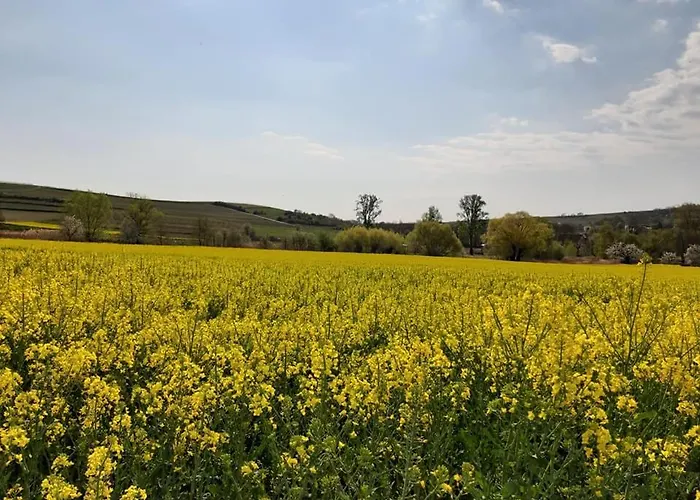 아파트 Im Schoenen Zellertal, Mit 22 Kw Wallbox