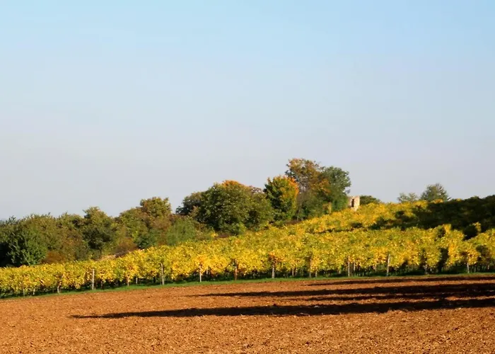 아파트 Im Schoenen Zellertal, Mit 22 Kw Wallbox *