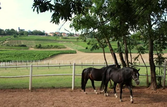 Im Schoenen Zellertal, Mit 22 Kw Wallbox Lejlighed *