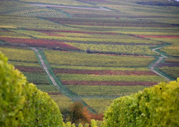 Im Schoenen Zellertal, Mit 22 Kw Wallbox 아파트 Wachenheim an der Weinstraße