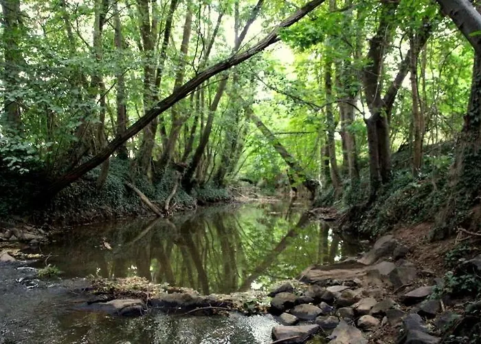 Lejlighed Im Schoenen Zellertal, Mit 22 Kw Wallbox *
