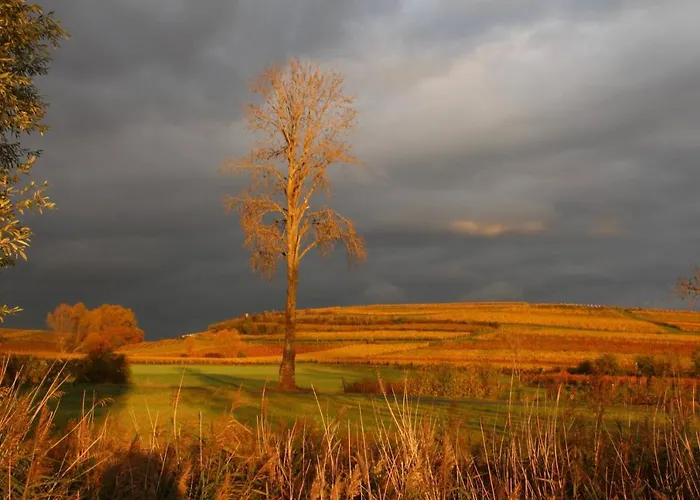Lejlighed Im Schoenen Zellertal, Mit 22 Kw Wallbox Wachenheim an der Weinstraße